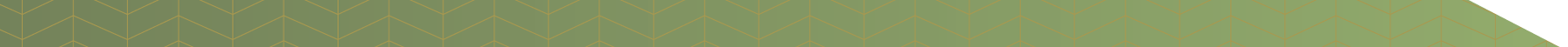 Groen Links Groen Links