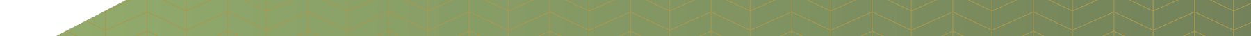 Groen Rechts Groen Rechts